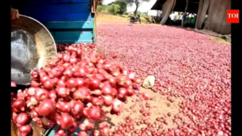Onion Prices Plummet 50% in Mumbai Wholesale Markets Amid Export Crisis