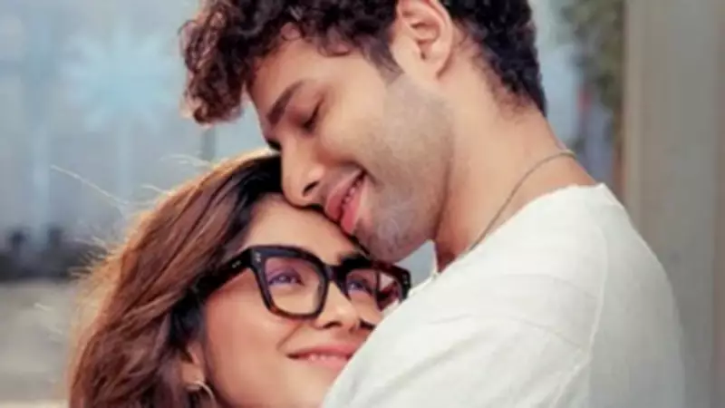 OTT Releases This Week: Toaster, Matka King, Assi, Euphoria S3 & More