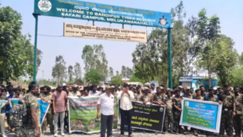 Outsourced Forest Workers Launch Indefinite Strike at Bandipur Tiger Reserve