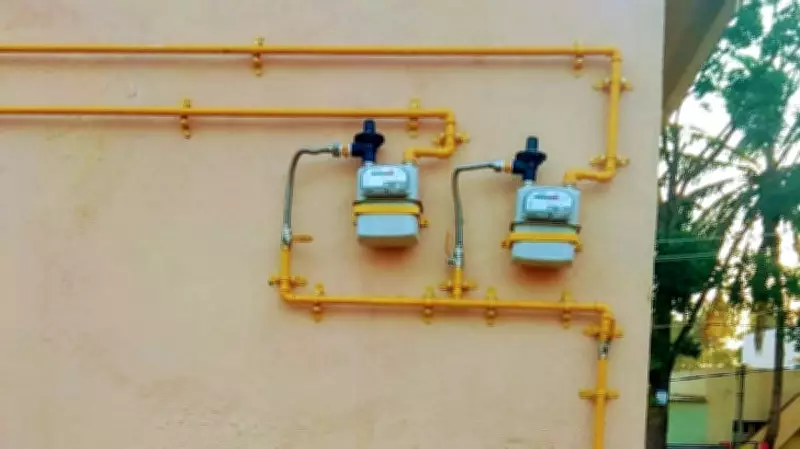 Over 4 Lakh PNG Connections Provided Since March, Government Reports