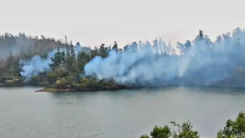 Over 500 Personnel Battle 10-Day Wildfire in Nilgiris, 5,000 Acres Scorched