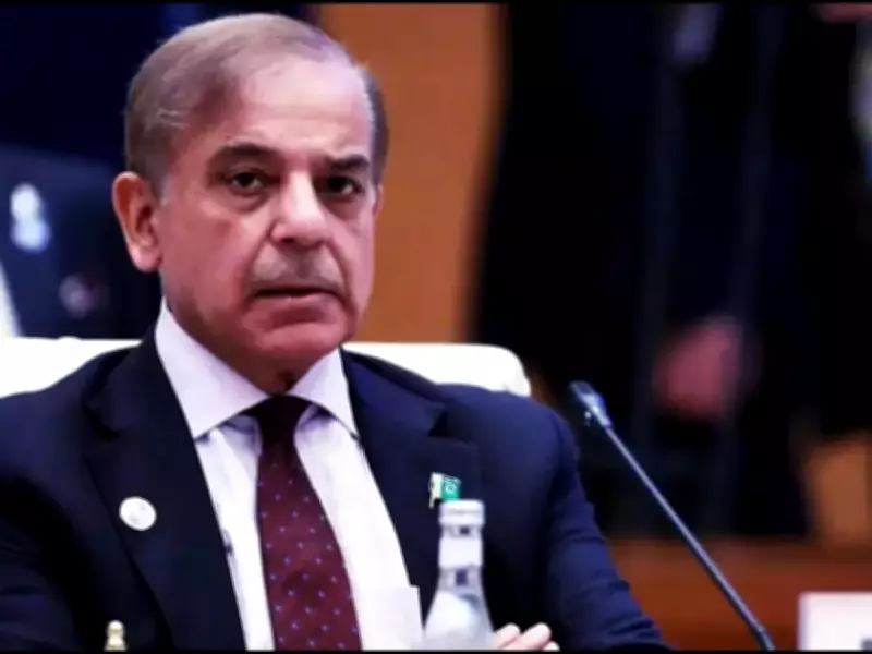 Pakistan PM Shehbaz Sharif Returns After West Asia Tour Amid US-Iran Talks