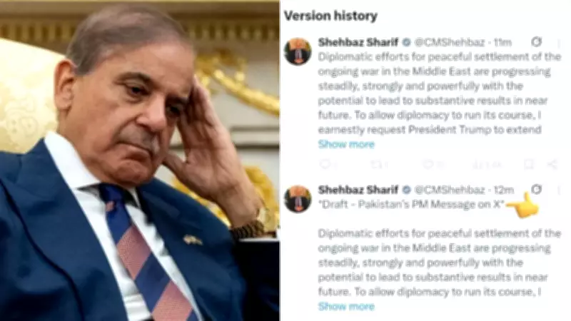 Pakistan PM's X Post on Iran War Draft Label Sparks Origin Questions