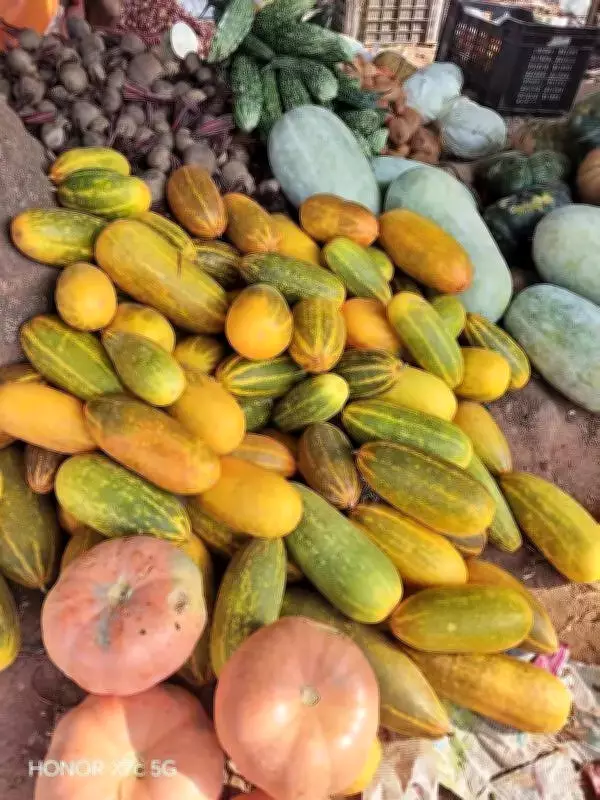 Palakkad's Vishu Vegetable Exports in Crisis Amid Middle East Geopolitical Tensions