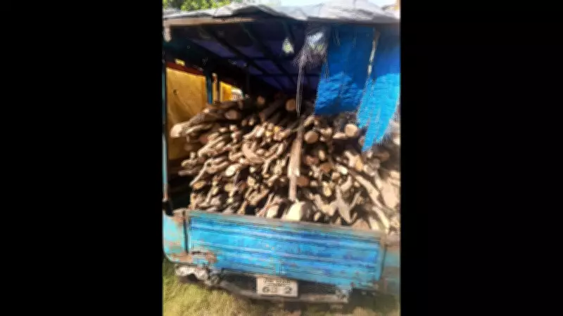 Palamu Forest Officials Seize Two Autorickshaws Carrying Illegal Firewood in Daltonganj