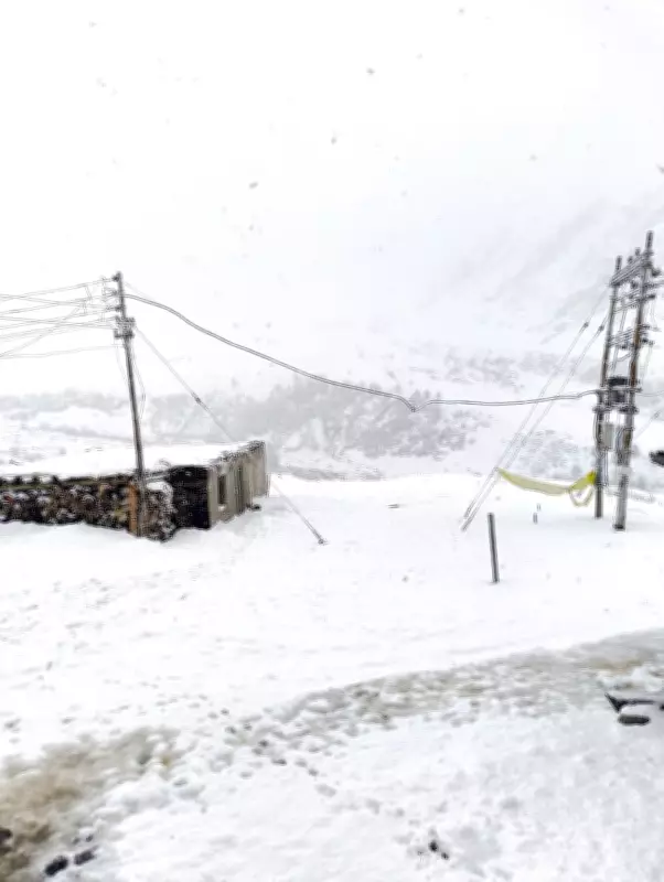 Pangi Valley Roads Blocked, Farming Disrupted by Unseasonal Snowfall
