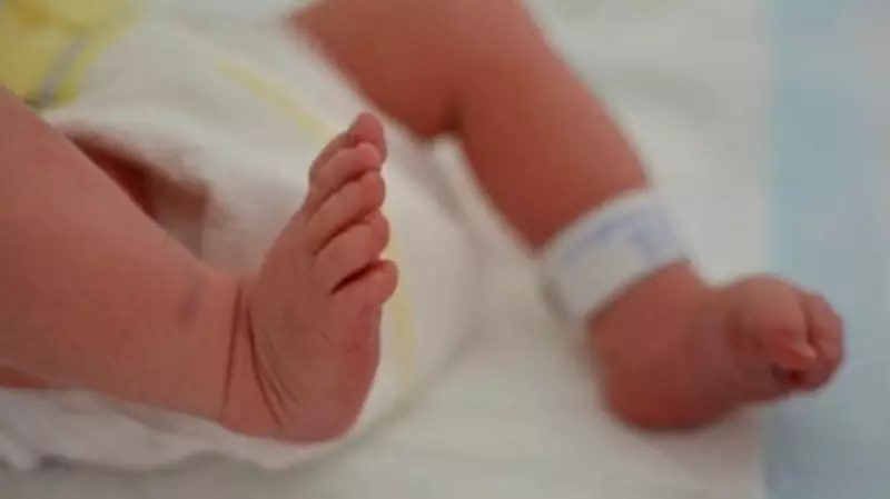 Parents Allege Baby's Death Due to Ant Bite in Mysuru Hospital