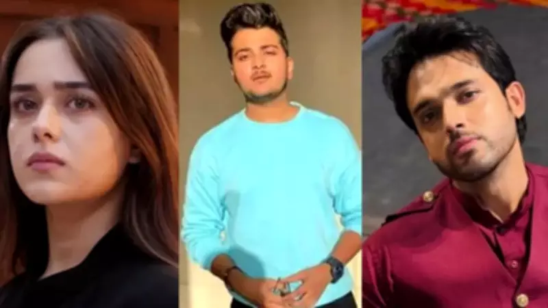 Parth Samthaan and Rishita Kothari Spat: Mridul Meena Denies Negative PR Claims