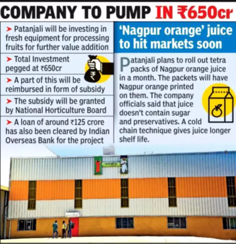 Patanjali to Set Up Largest Orange Processing Cluster in Nagpur with Rs650 Crore