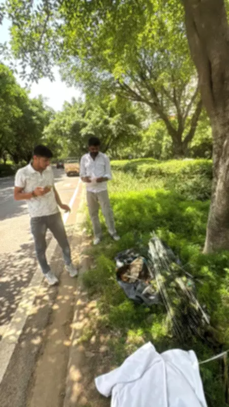 Peacock killed in car hit near DLF Magnolias Club in Gurgaon