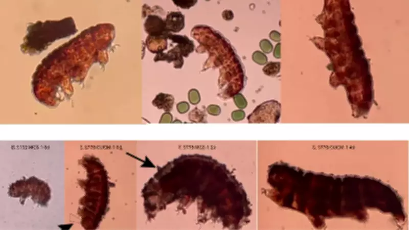 Penn State Studies Tardigrade Proteins for Mars Survival and Bio-Inspired Materials