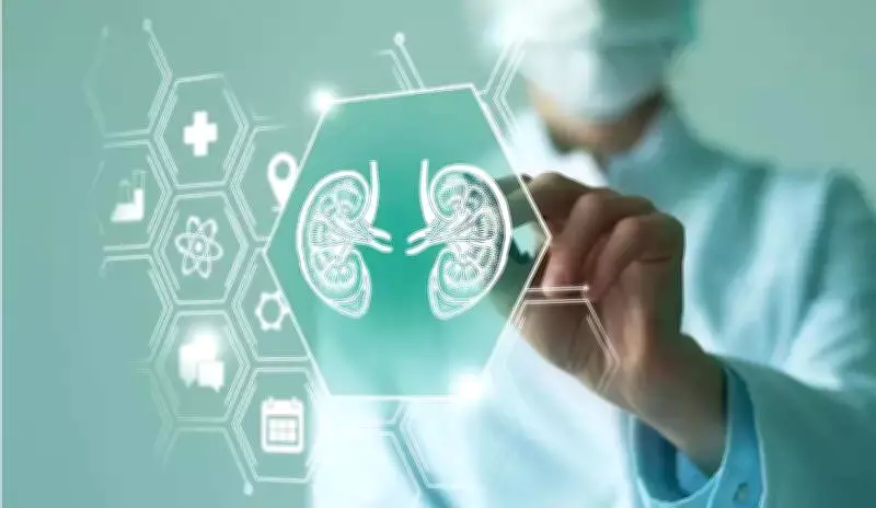 PGI Experts Warn of Critical Risks in Illegal Kidney Transplant Racket