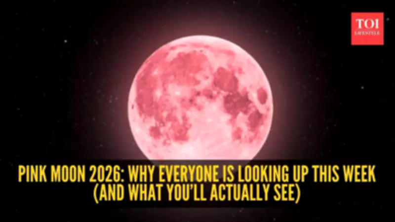Pink Moon 2024: Peak Illumination Time, Science Behind Copper Glow & Holiday Impact