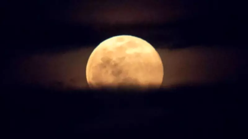 Pink Moon 2026: A Celestial Spectacle of Brightness and Tidal Effects