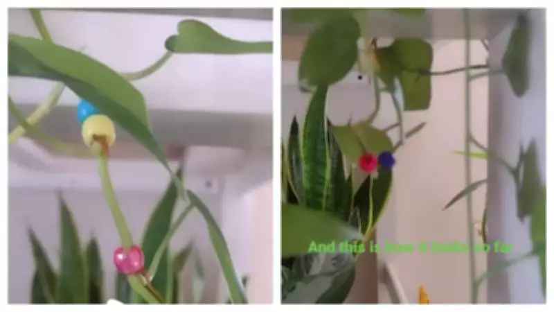 Plant Beading: The New Viral DIY Trend for Friendship and Home Decor