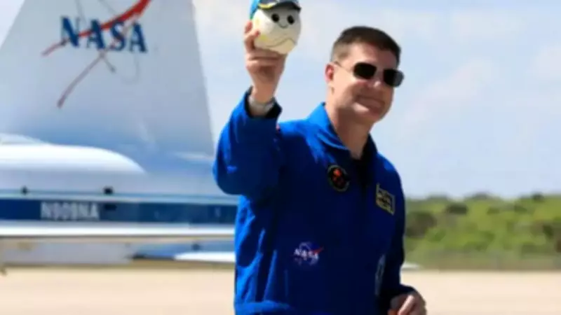 Plush Toys in Space: The Unsung Heroes of Zero Gravity Indicators