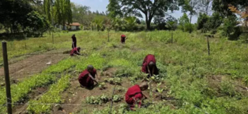 PM Modi Praises Karma Monastery in Mysuru for Nature Conservation