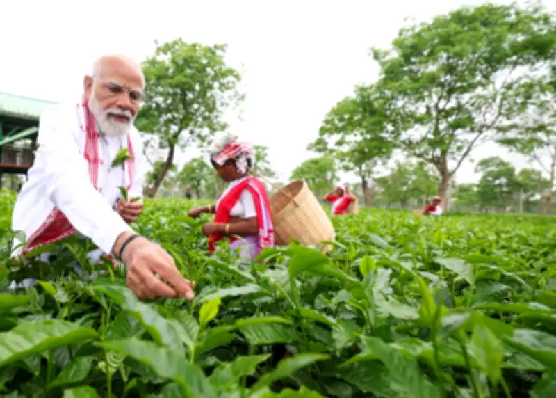 PM Modi Visits Assam Tea Garden, Calls Tea 'Soul of Assam' Ahead of Rallies