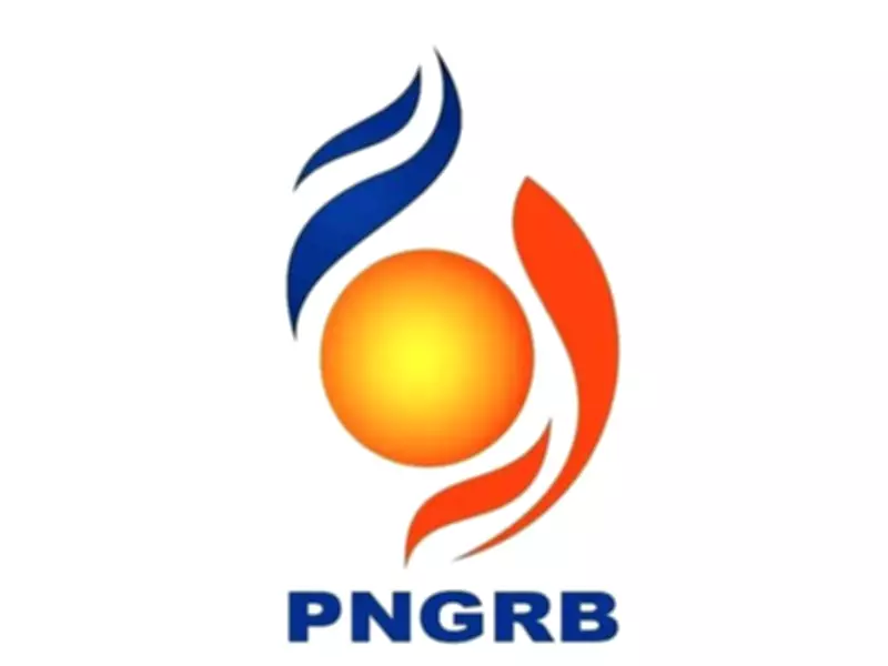 PNGRB Extends National PNG Campaign, Reviews City Gas Network Rollout