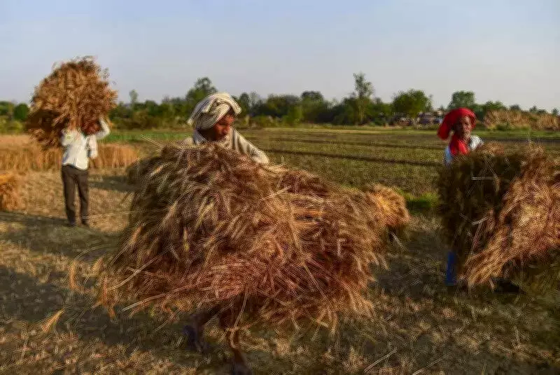 Prayagraj Weather Turns Dramatic: Sudden Winds and Rain Bring Relief and Farmer Worries