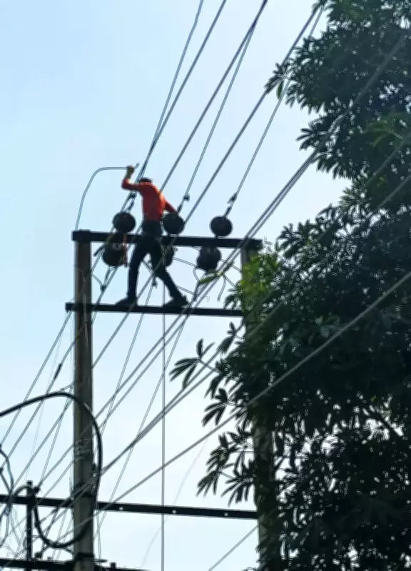 PSPCL Workers in Ludhiana Raise Alarm Over Missing Safety Gear