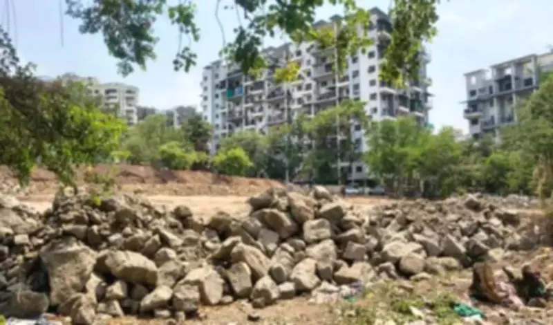 Pune Forest Department to Develop Miyawaki Forest on NIBM Road