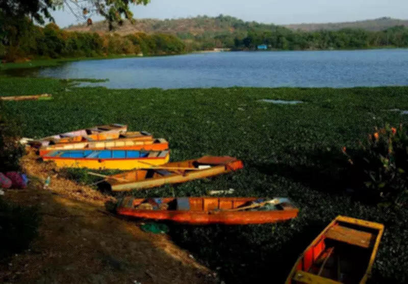 Pune Residents Accuse Municipal Corporation of Polluting Pashan Lake with Untreated Sewage