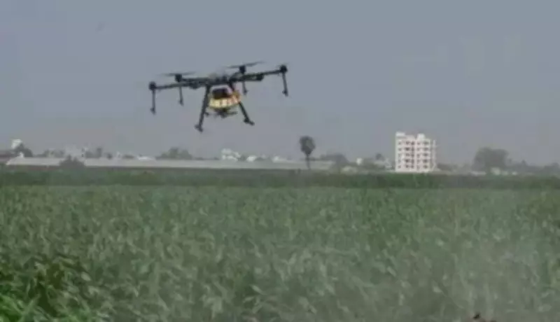 Punjab Agricultural University Cuts Drone Pilot Course Fee by Half