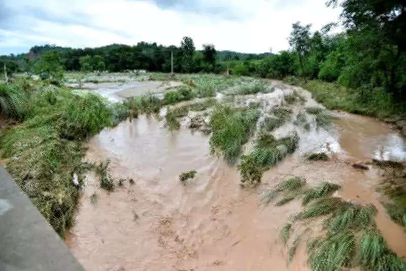 Punjab Cabinet Approves Landowner-Led River Desilting Policy to Combat Floods