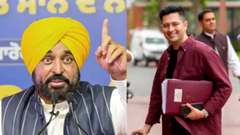 Punjab CM Bhagwant Mann Defends AAP's Removal of Raghav Chadha as RS Deputy Leader