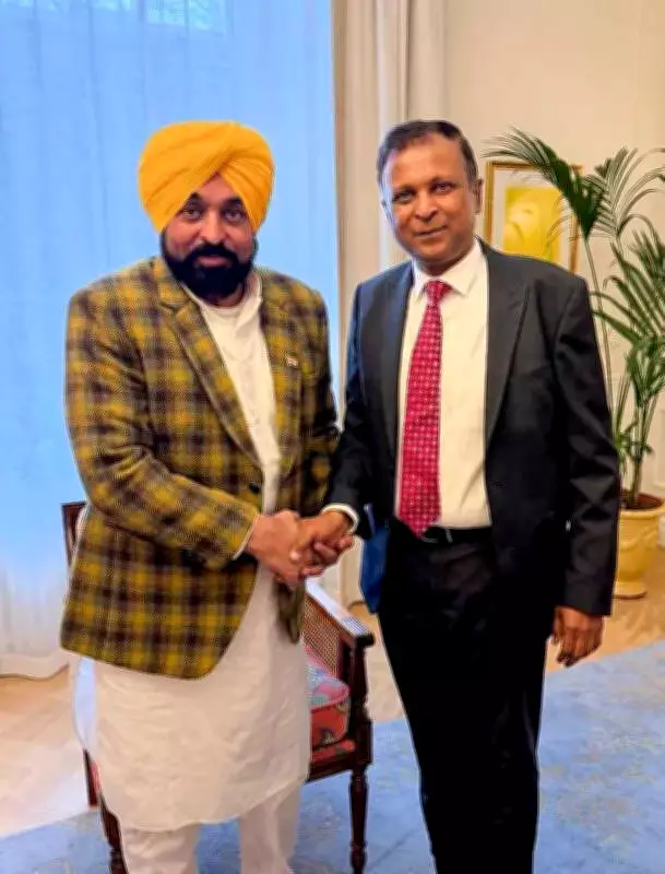 Punjab CM Bhagwant Mann Urges Finnish Diaspora to Fuel State's Economic Growth