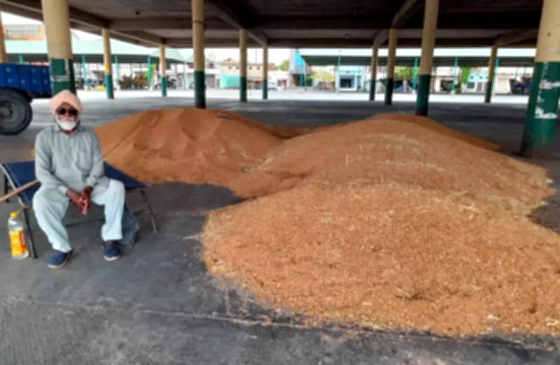 Punjab Commission Agents to End Strike Today, Resuming Agricultural Trade