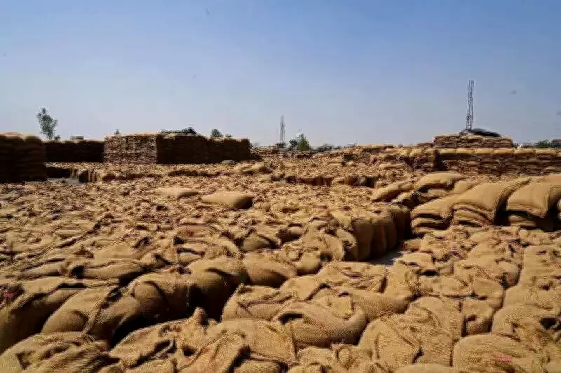 Punjab Deploys Police and Task Forces to Block Illegal Grain Imports at Border