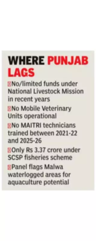 Punjab Excluded from Key Central Livestock and Fisheries Schemes, Committee Reports