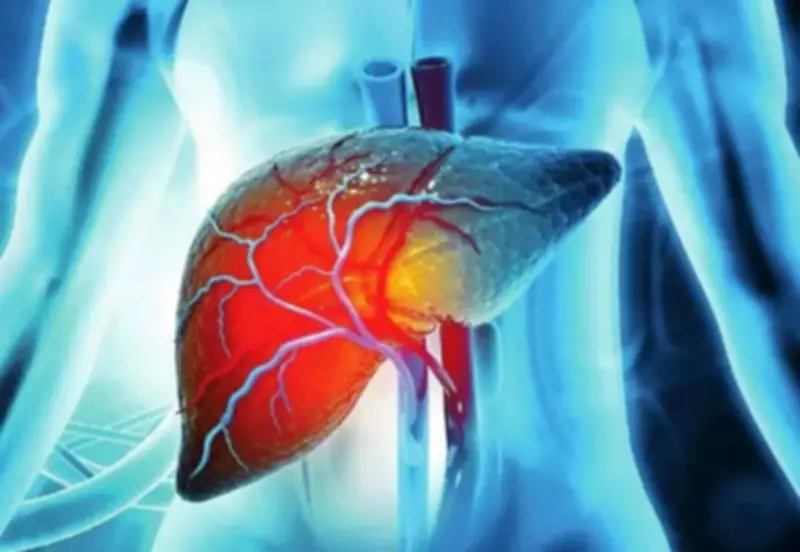 Punjab Expands Liver Disease Screening and Cashless Treatment Amid Rising Cases