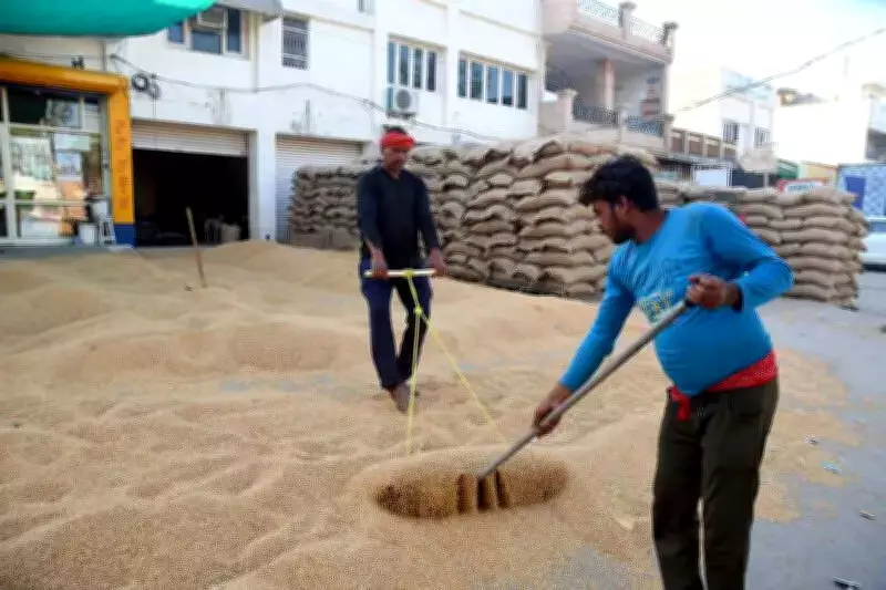 Punjab Farmers to Block Rail Traffic Over Wheat Procurement Delays