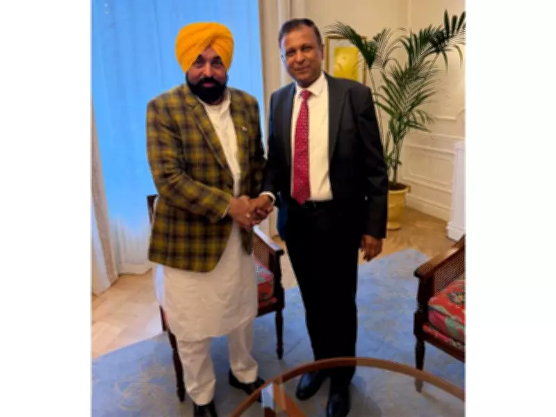 Punjab-Finland Partnership: CM Bhagwant Mann Meets Indian Ambassador to Drive Global Growth