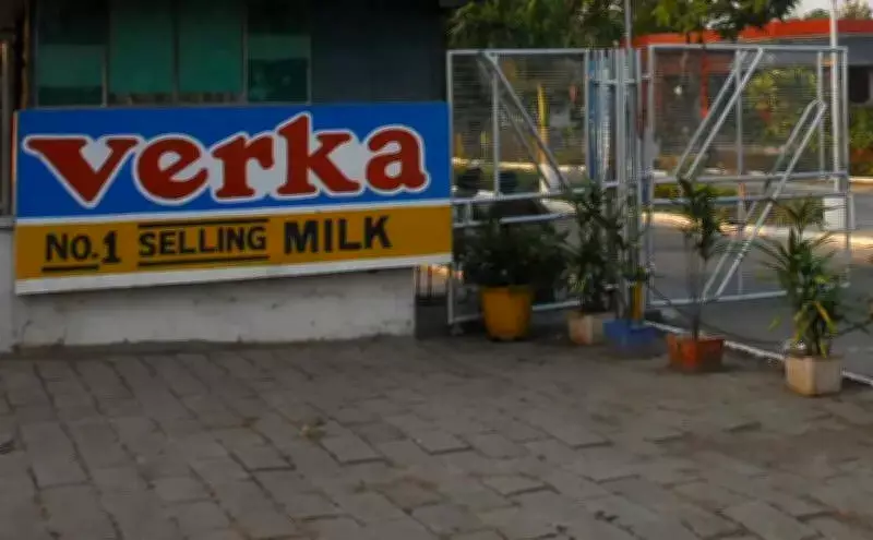 Punjab hikes milk procurement price by Rs 20 per kg fat from May 1