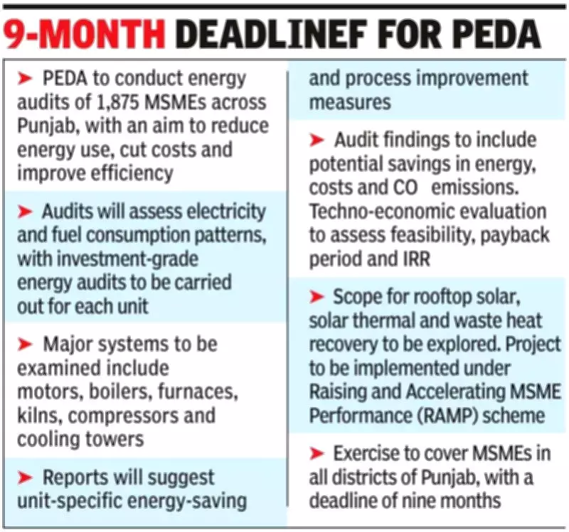 Punjab Launches Major Energy Audit Initiative for 1,875 MSMEs to Boost Efficiency