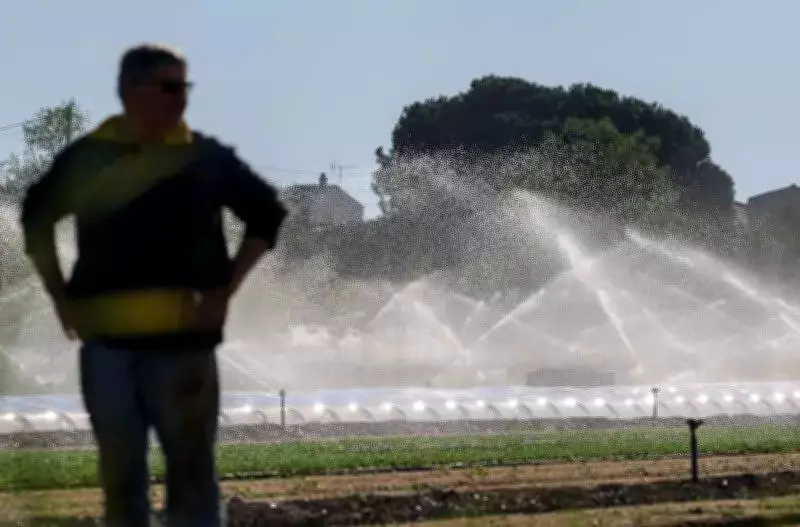 Punjab Launches Rs 1.45 Crore Irrigation Projects to Boost Farm Water Supply