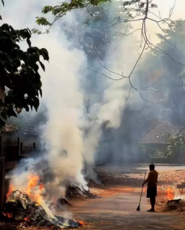 Punjab Reports 16 New Farm Fires, MP Tops with 18,912 Cases This Season