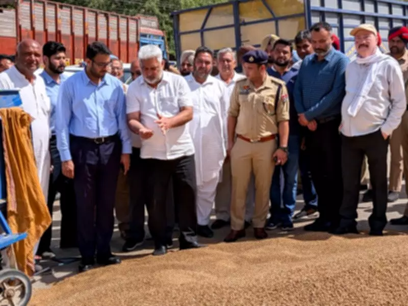 Punjab Wheat Arrivals Show Slight Increase Despite Rain and Hail Damage