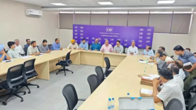 Punjab's Industrial Plot Conversion Waiver Sparks Controversy Over Tight Deadline