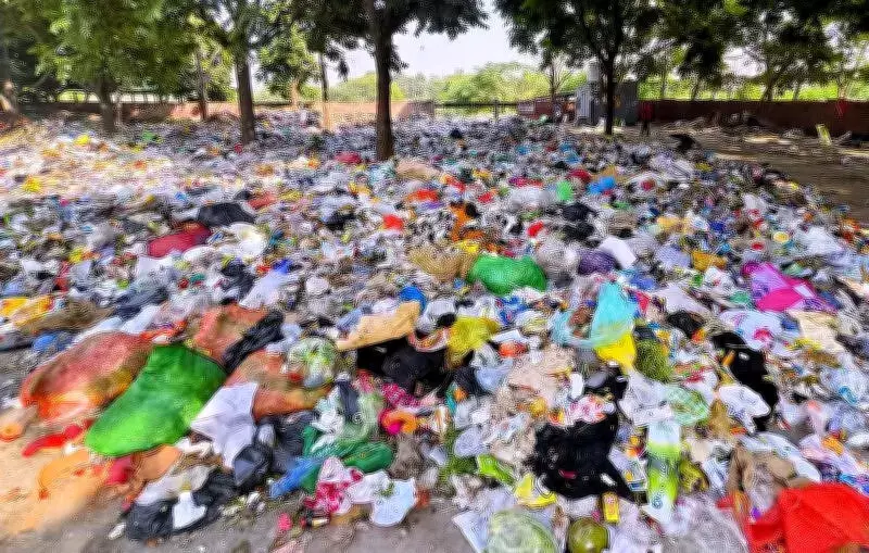 Punjab's Waste Management Claims Under NGT Scrutiny, Amicus Curiae Flags Deficiencies