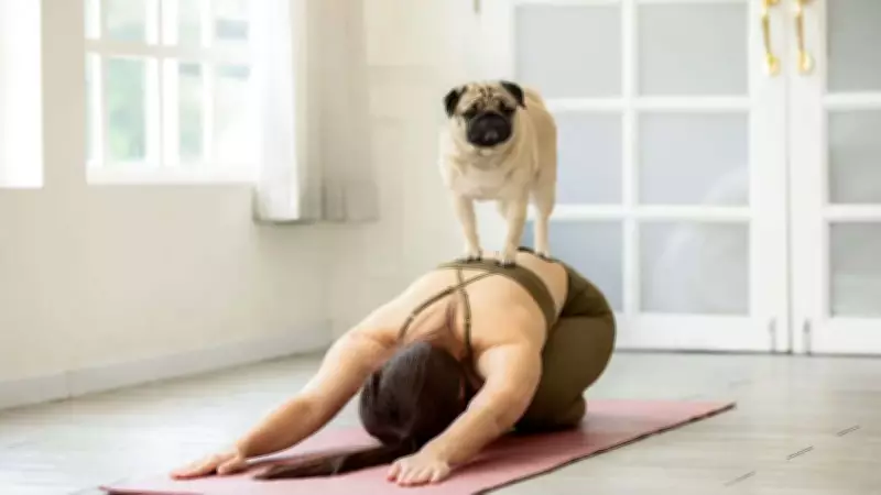 Puppy Yoga: The Therapeutic Wellness Trend Blending Mindfulness with Animal Companionship