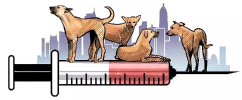 Rabid Dog Attack in Kolhapur Village Injures 11, Sparking Outrage Over Garbage Negligence