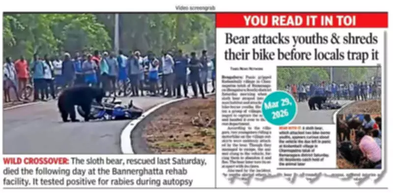 Rabies Spreads to Wildlife Near Bengaluru: Sloth Bear Tests Positive