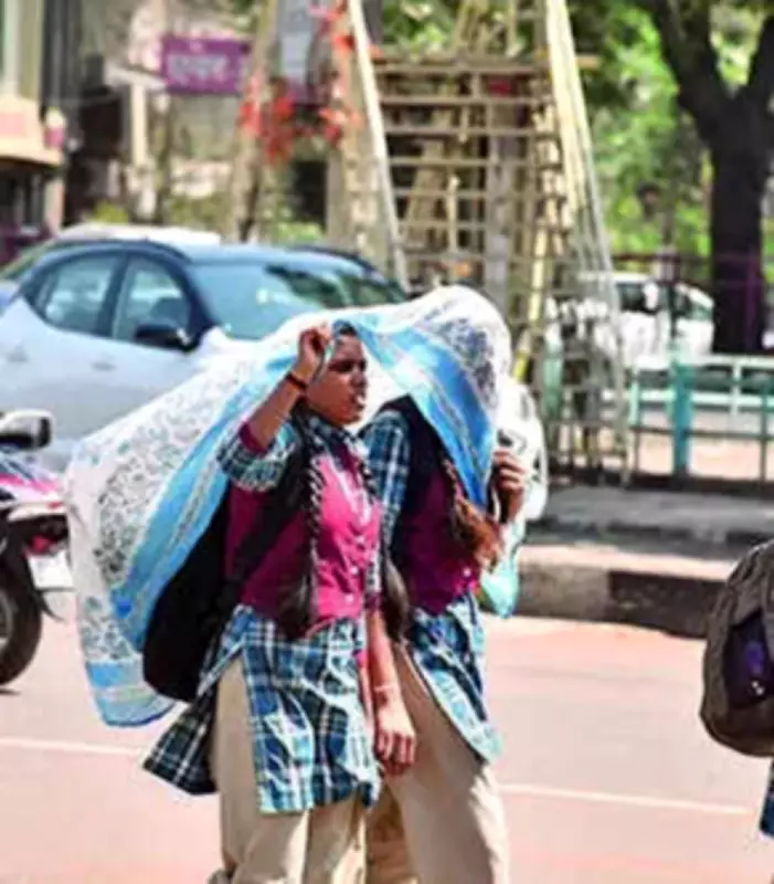 Rajasthan Collectors Can Declare School Holidays Amid Heatwave