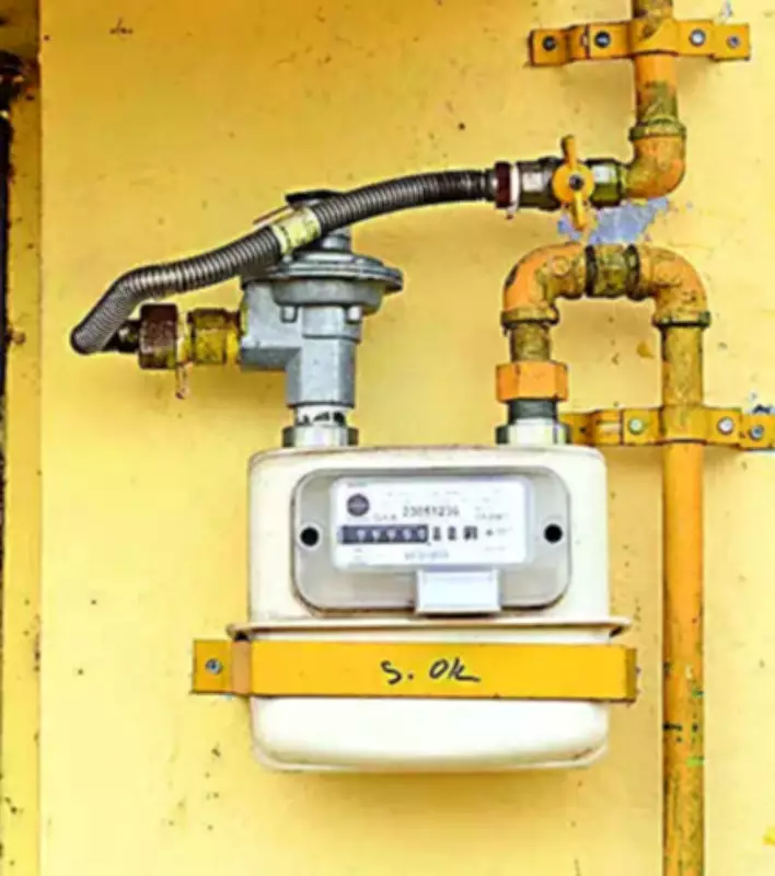 Rajasthan LPG Shortage: Push for PNG Connections Intensifies