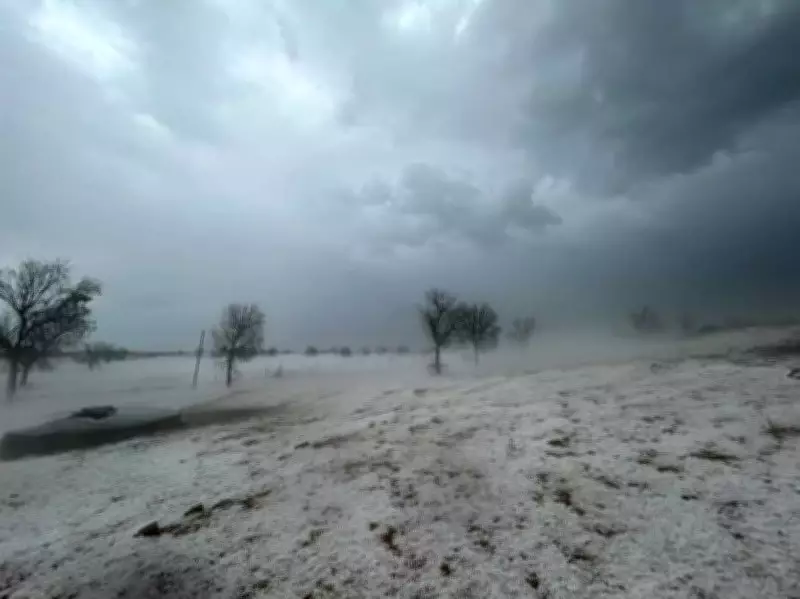 Rajasthan Transforms into Snowland: Bikaner Sees Kashmir-Like Hailstorm, More Expected